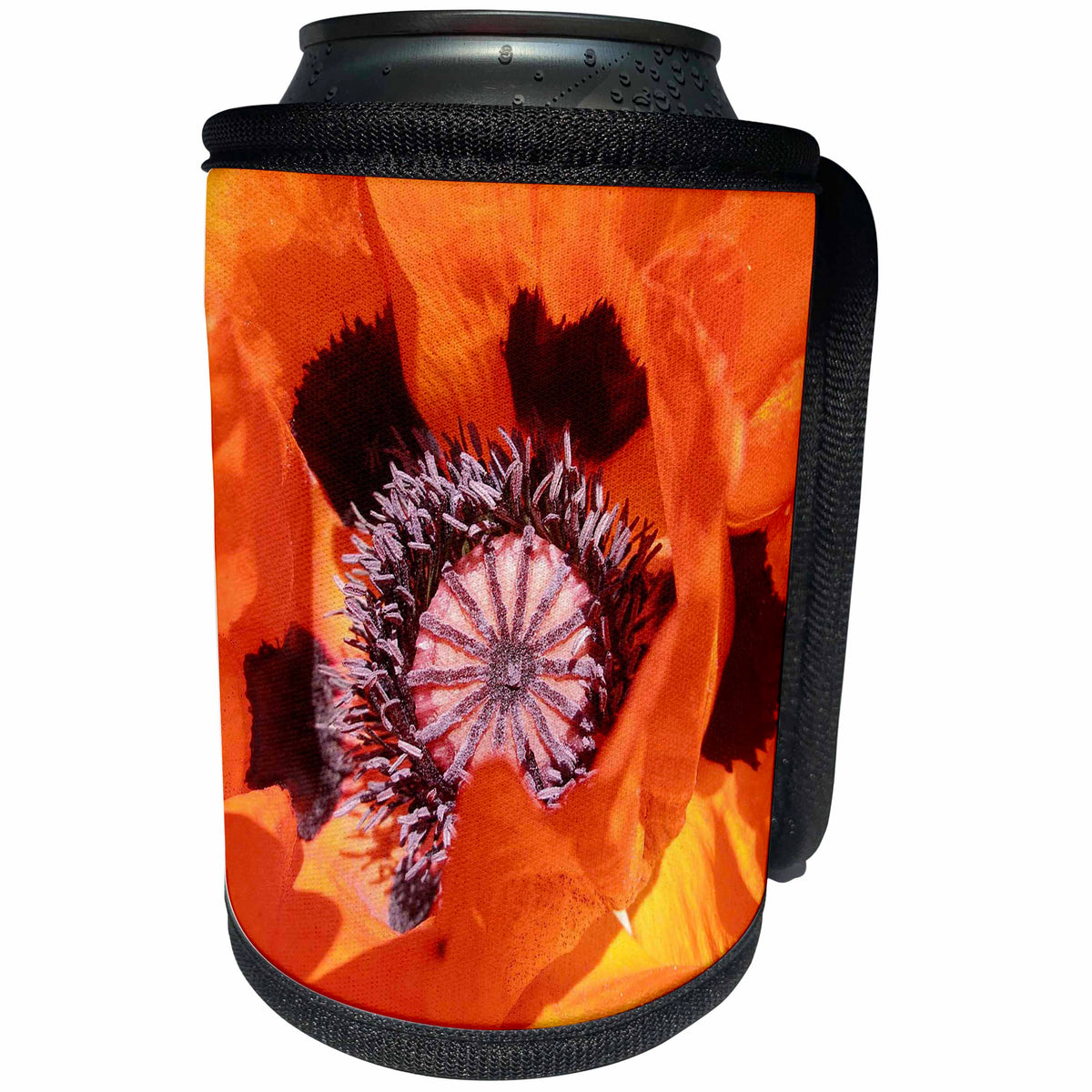 3dRose RinaPiro - Flowers - Poppy flower. Orange. Popular flower. - Can Cooler Bottle Wrap (cc_218238)