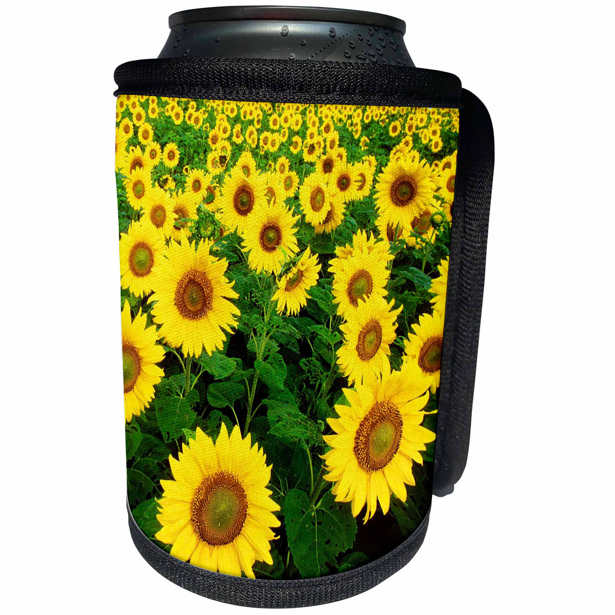 3dRose RinaPiro - Flowers - Sunflower field. Yellow flowers. Popular image. - Can Cooler Bottle Wrap (cc_218239)