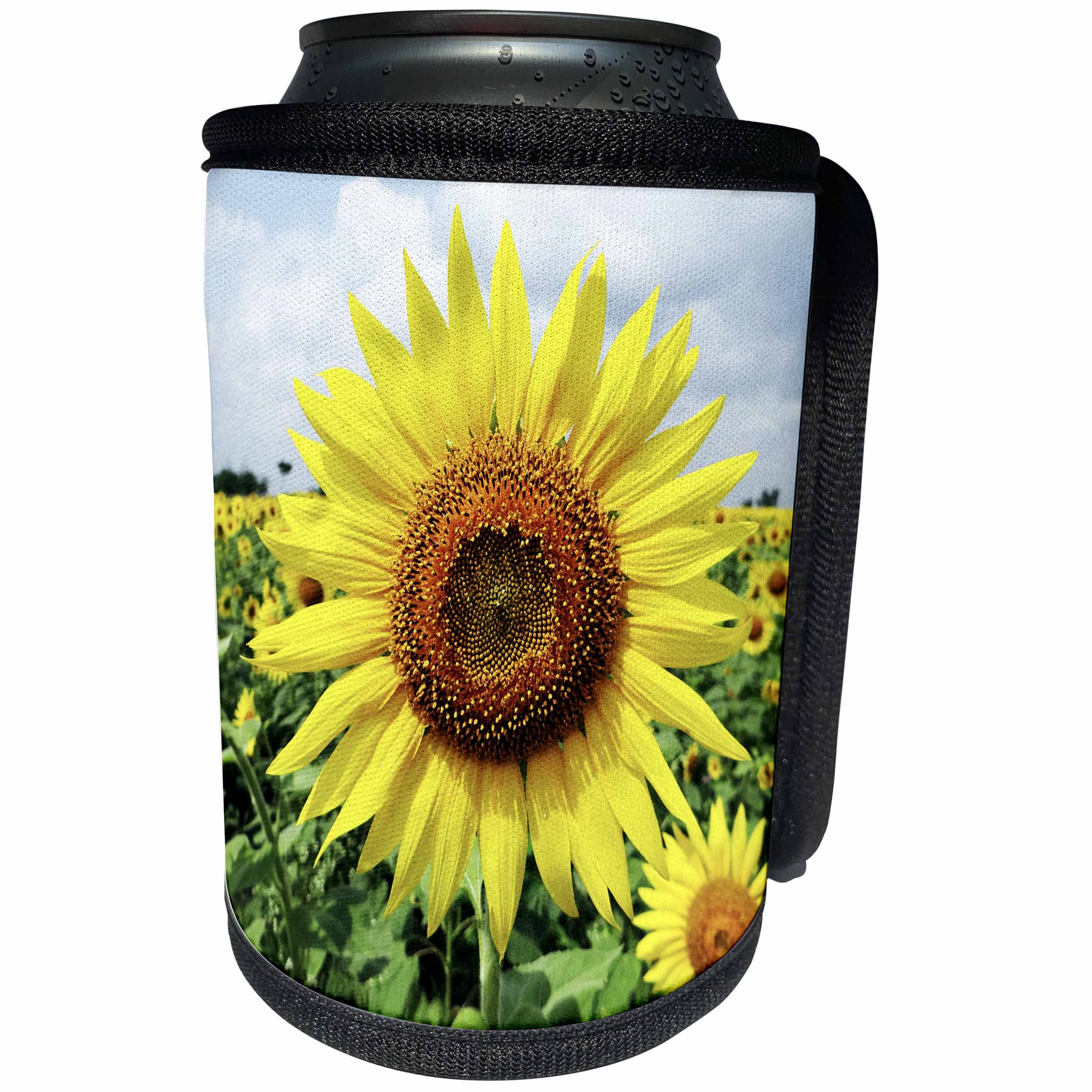 3dRose RinaPiro - Flowers - Sunflower. Yellow. Popular flower. - Can Cooler Bottle Wrap (cc_218241)