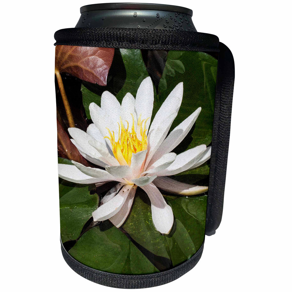 3dRose RinaPiro - Flowers - White water lily flower. Popular image. - Can Cooler Bottle Wrap (cc_218243)