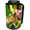 3dRose RinaPiro - Butterflies - Monarch butterfly. Popular image. - Can Cooler Bottle Wrap (cc_218251)