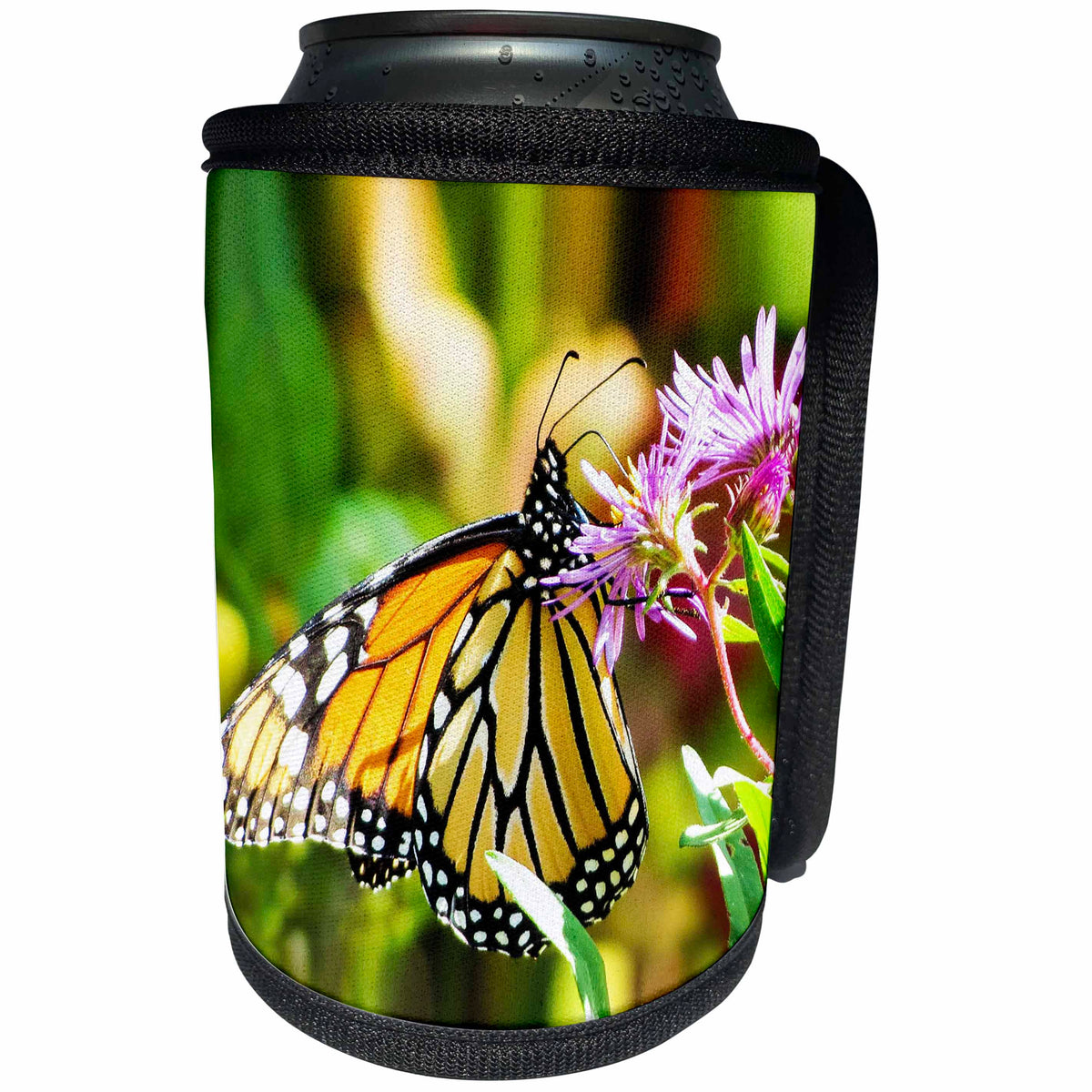 3dRose RinaPiro - Butterflies - Monarch butterfly. Popular image. - Can Cooler Bottle Wrap (cc_218251)