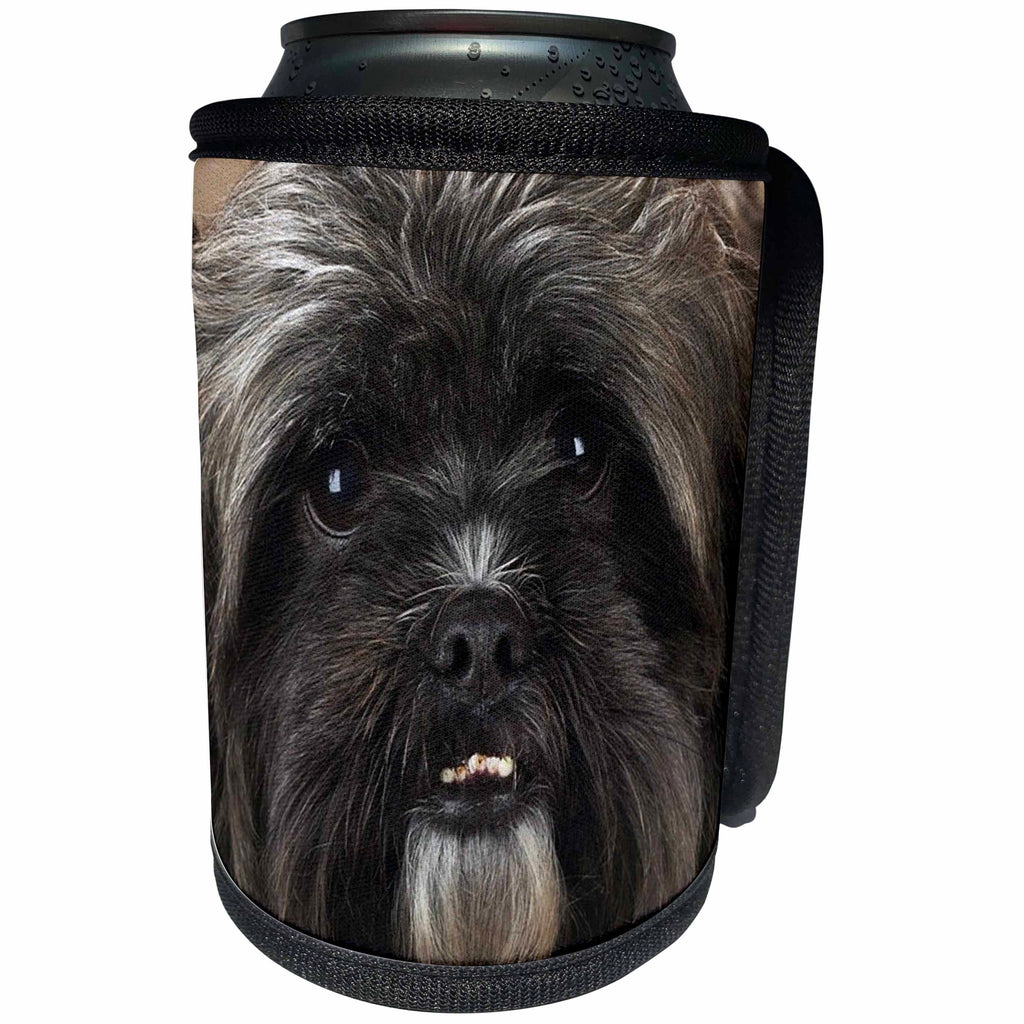 3dRose Jackie Popp Nature N Wildlife animals - lowchen - Can Cooler Bottle Wrap (cc_22240)