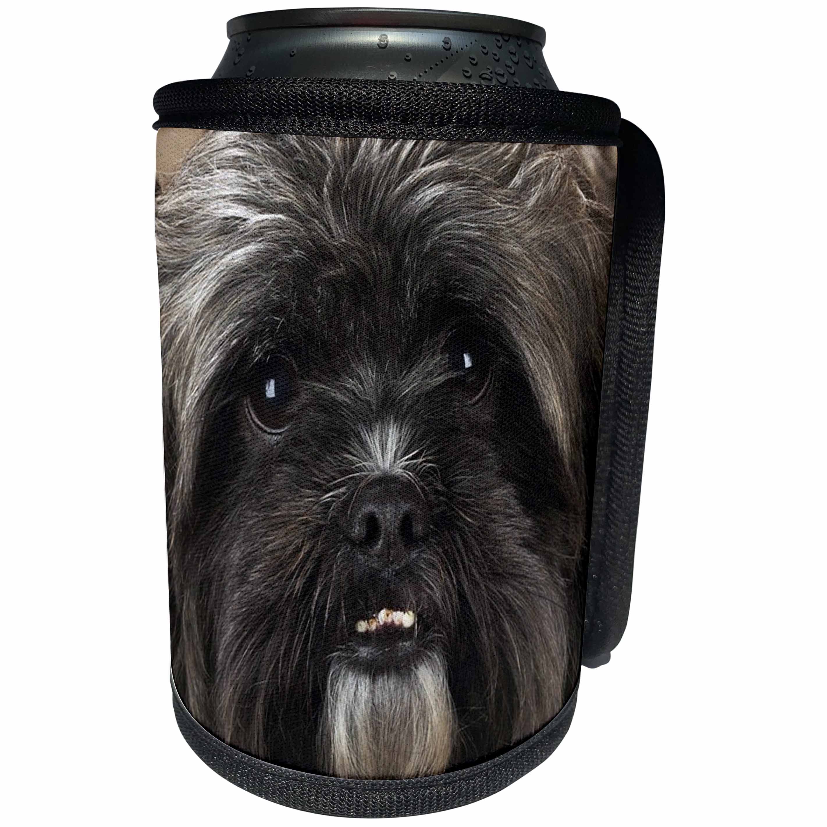 3dRose Jackie Popp Nature N Wildlife animals - lowchen - Can Cooler Bottle Wrap (cc_22240)