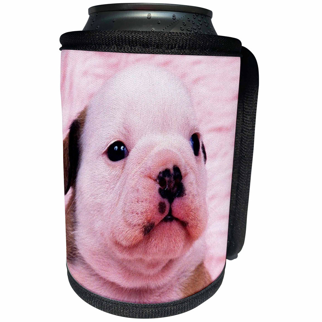 3dRose Jackie Popp Nature N Wildlife animals - french bull dog - Can Cooler Bottle Wrap (cc_22241)