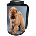 3dRose Jackie Popp Nature N Wildlife animals - chow chow - Can Cooler Bottle Wrap (cc_22242)