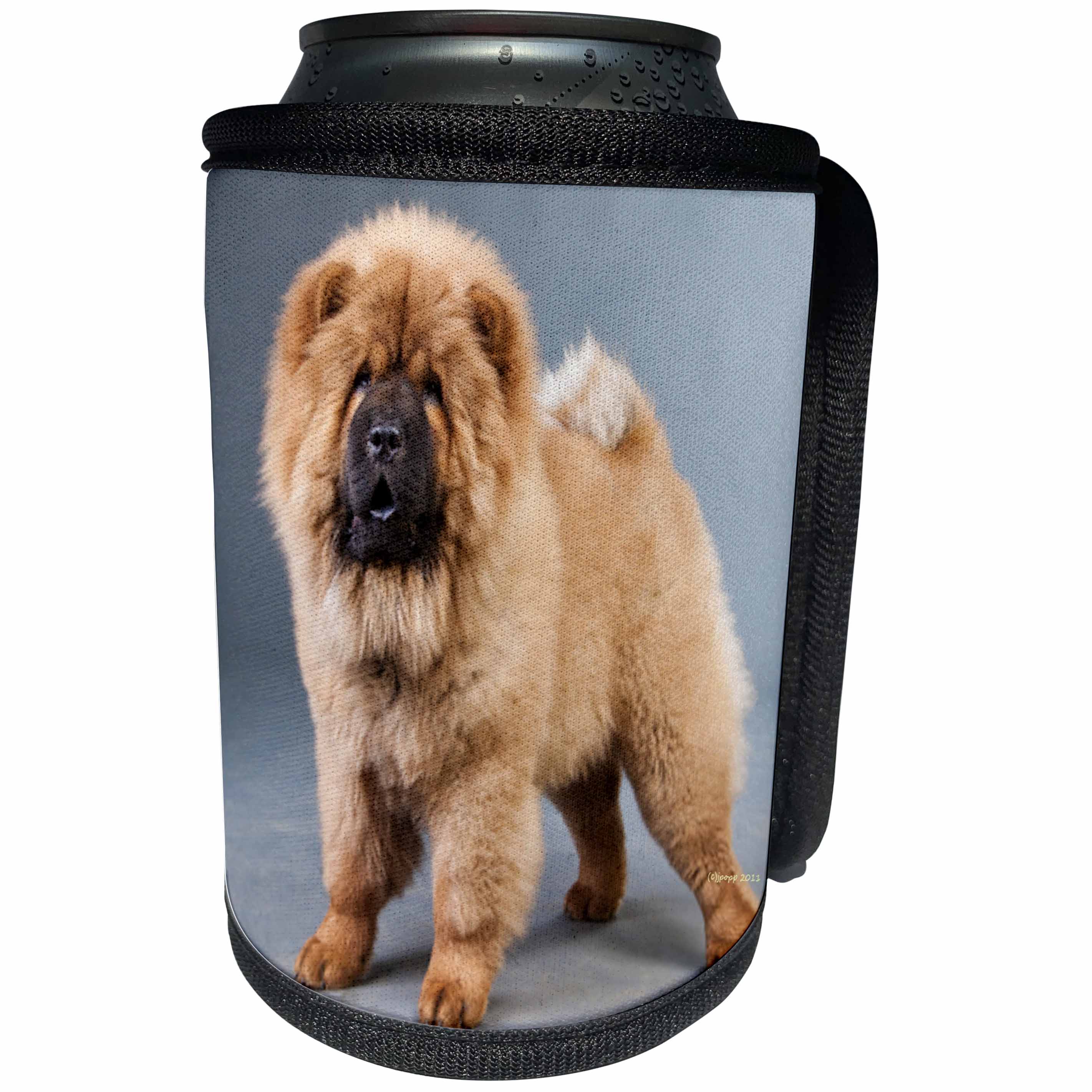 3dRose Jackie Popp Nature N Wildlife animals - chow chow - Can Cooler Bottle Wrap (cc_22242)