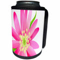 3dRose Anne Marie Baugh - Flowers - One Pretty Pink Flower With A Cream and Green Center - Can Cooler Bottle Wrap (cc_222428)