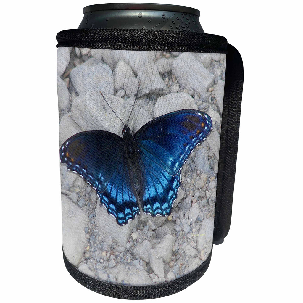 3dRose Jackie Popp Nature N Wildlife butterfly - diana - Can Cooler Bottle Wrap (cc_22243)