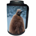 3dRose Danita Delimont - Penguins - South Georgia. Salisbury Plain. Fluffy King penguins chick. - Can Cooler Bottle Wrap (cc_225224)