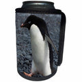 3dRose Danita Delimont - Penguins - Antarctica. Brown Bluff. Adelie penguins. - Can Cooler Bottle Wrap (cc_225256)