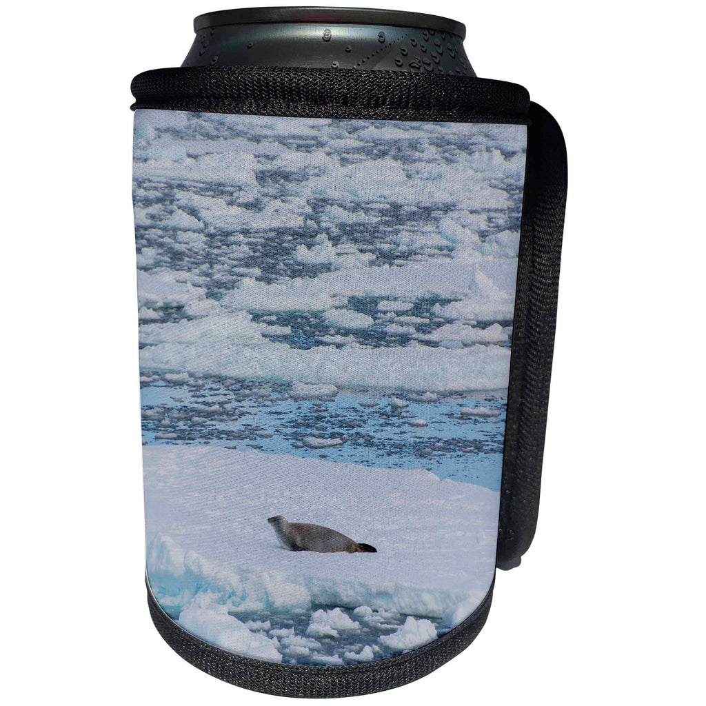 3dRose Danita Delimont - Seals - Antartica. The Gullet. Crabeater seal on an ice floe. - Can Cooler Bottle Wrap (cc_225259)