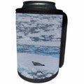 3dRose Danita Delimont - Seals - Antartica. The Gullet. Crabeater seal on an ice floe. - Can Cooler Bottle Wrap (cc_225259)