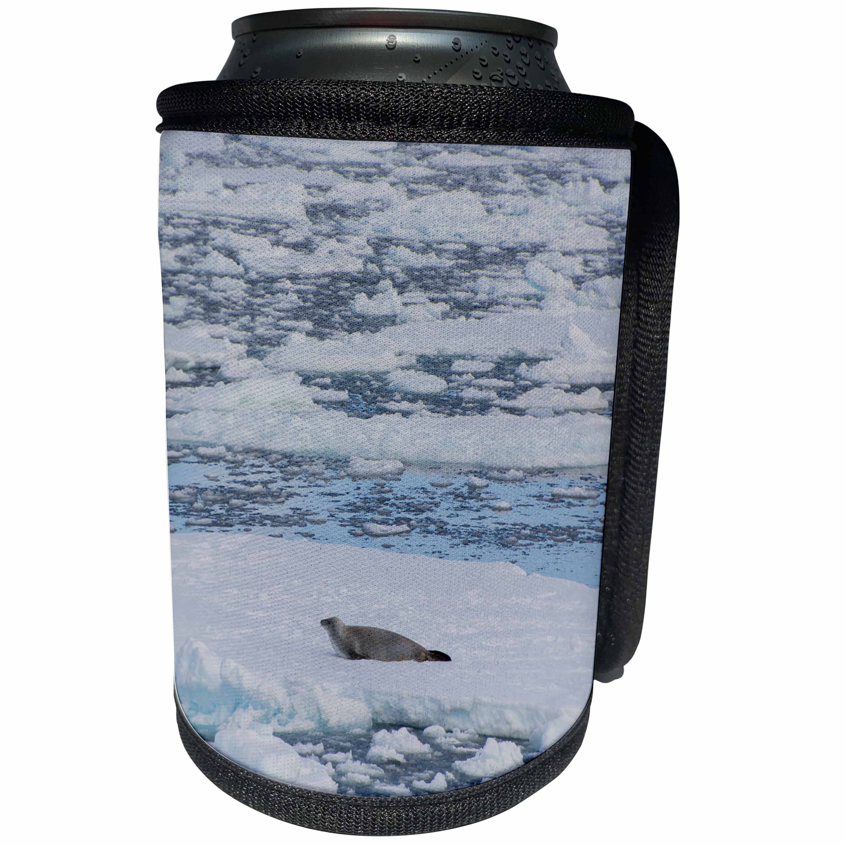 3dRose Danita Delimont - Seals - Antartica. The Gullet. Crabeater seal on an ice floe. - Can Cooler Bottle Wrap (cc_225259)