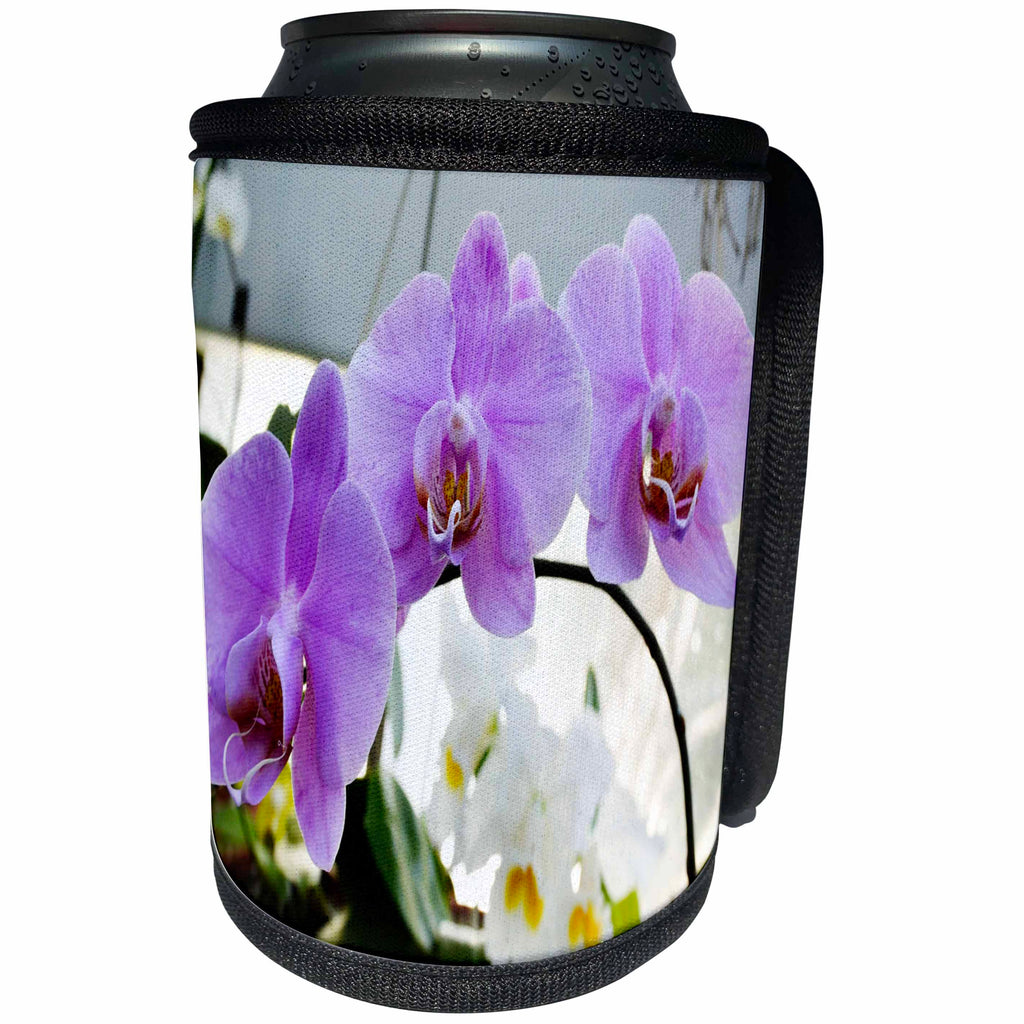 3dRose WhiteOak Photography Floral Prints - Purple Phalaenopsis Purple Orchid - Can Cooler Bottle Wrap (cc_22528)