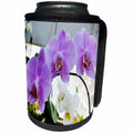 3dRose WhiteOak Photography Floral Prints - Purple Phalaenopsis Purple Orchid - Can Cooler Bottle Wrap (cc_22528)