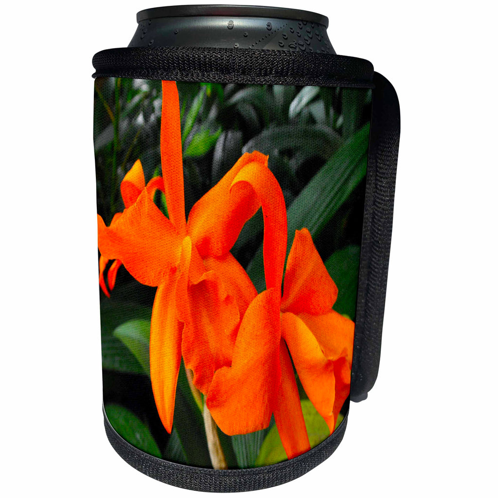 3dRose WhiteOak Photography Floral Prints - Cattleya Orchid Orange Orchids - Can Cooler Bottle Wrap (cc_22529)