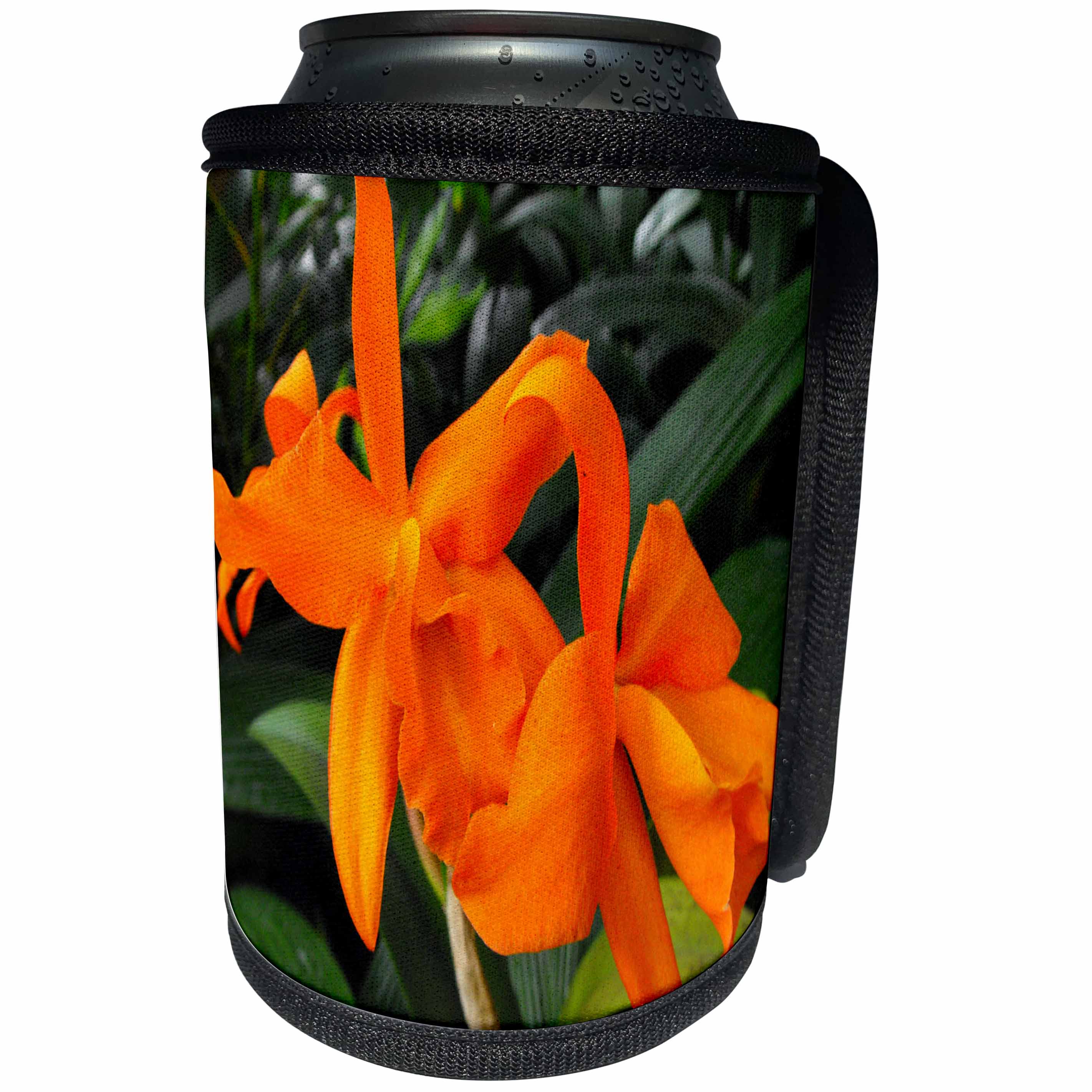 3dRose WhiteOak Photography Floral Prints - Cattleya Orchid Orange Orchids - Can Cooler Bottle Wrap (cc_22529)