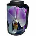3dRose WhiteOak Photography Floral Prints - Pink Phalaenopsis Pink n Purple Orchids - Can Cooler Bottle Wrap (cc_22530)
