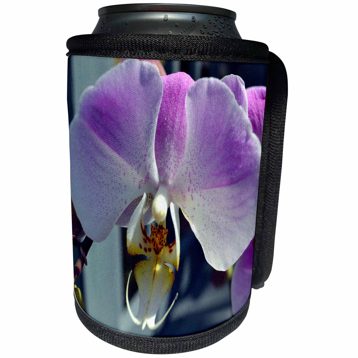 3dRose WhiteOak Photography Floral Prints - Pink Phalaenopsis Pink n Purple Orchids - Can Cooler Bottle Wrap (cc_22530)