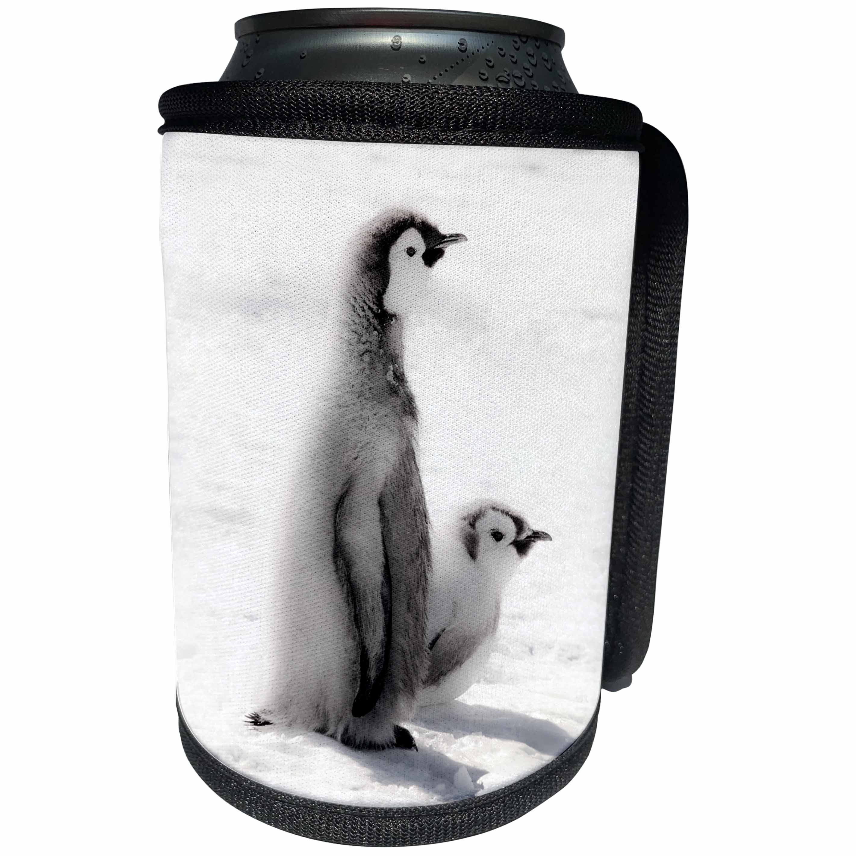 3dRose Danita Delimont - Penguins - Cape Washington, Antarctica. Two Emperor Penguin Chicks. - Can Cooler Bottle Wrap (cc_225302)