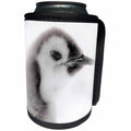 3dRose Danita Delimont - Penguins - Antarctica. Close-up of an Emperor Penguin Chick. - Can Cooler Bottle Wrap (cc_225303)