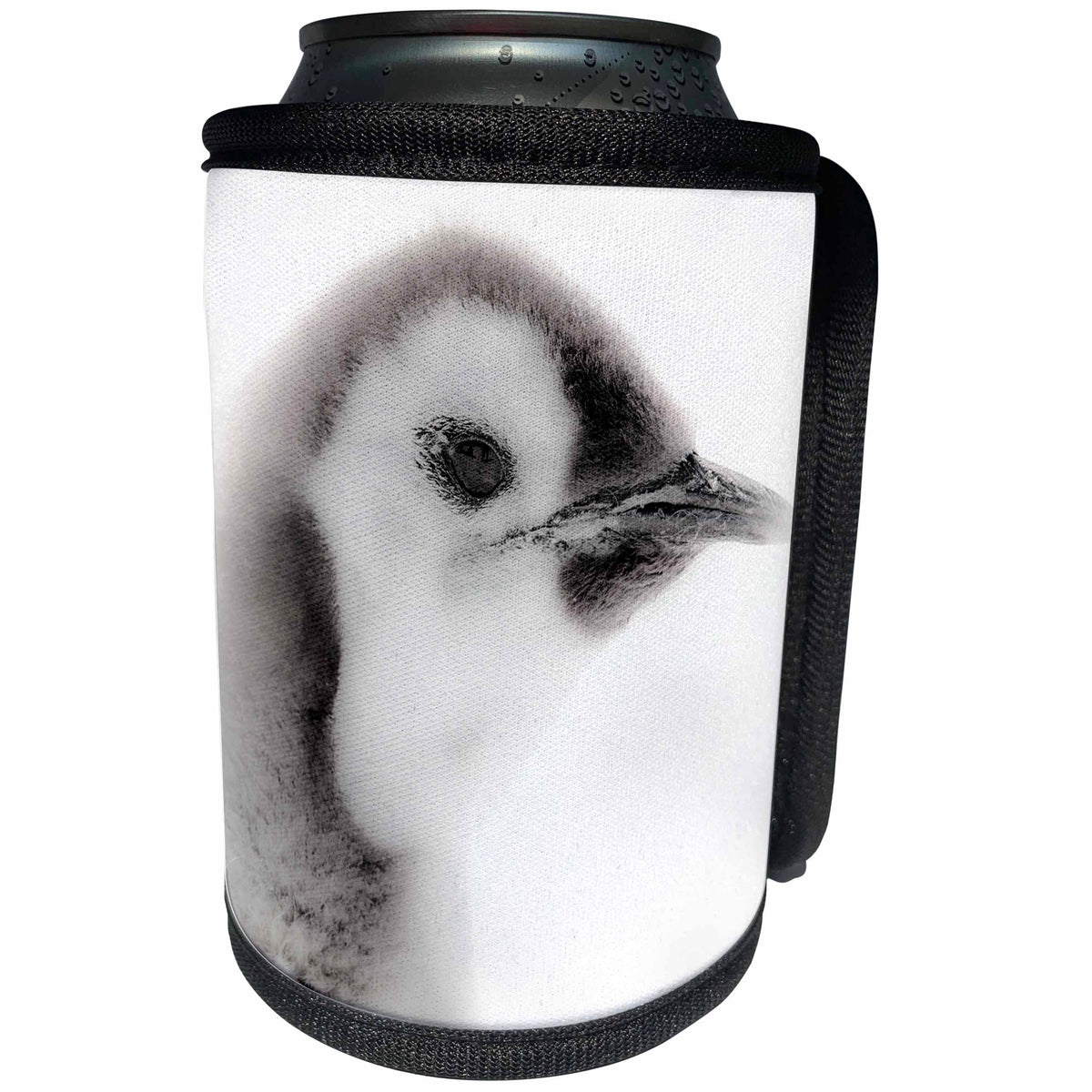 3dRose Danita Delimont - Penguins - Antarctica. Close-up of an Emperor Penguin Chick. - Can Cooler Bottle Wrap (cc_225303)