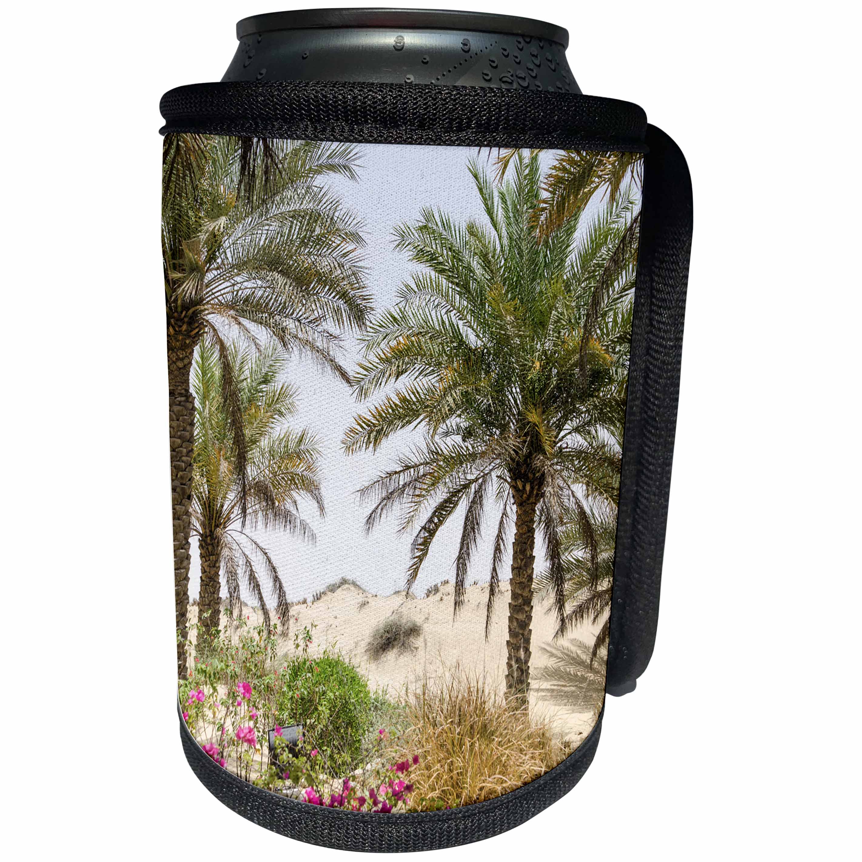 3dRose Danita Delimont - Beaches - Resort and Spa. Dubai - Can Cooler Bottle Wrap (cc_226128)