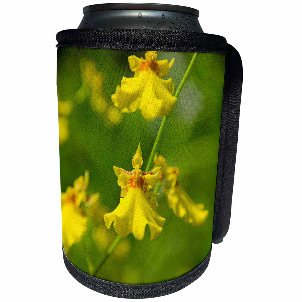 3dRose Danita Delimont - Flower - Australia, Darwin. Jennys Orchid Garden. - Can Cooler Bottle Wrap (cc_226137)