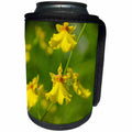 3dRose Danita Delimont - Flower - Australia, Darwin. Jennys Orchid Garden. - Can Cooler Bottle Wrap (cc_226137)