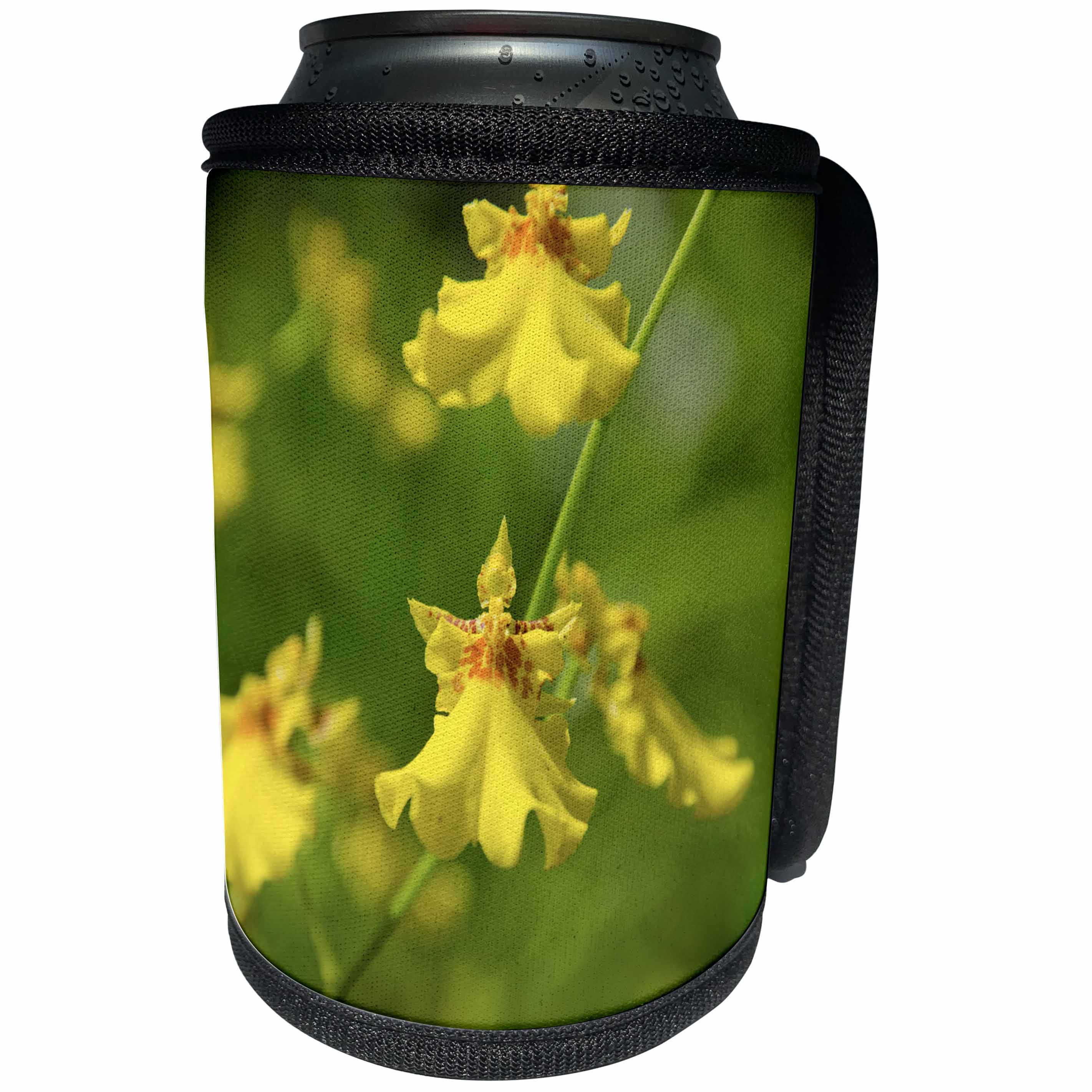 3dRose Danita Delimont - Flower - Australia, Darwin. Jennys Orchid Garden. - Can Cooler Bottle Wrap (cc_226137)