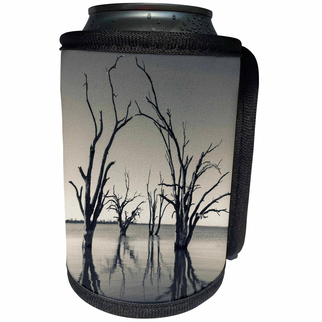 3dRose Danita Delimont - Australia - Australia, Murray River Valley, Lake Bonney, petrified trees - Can Cooler Bottle Wrap (cc_226330)