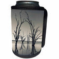 3dRose Danita Delimont - Australia - Australia, Murray River Valley, Lake Bonney, petrified trees - Can Cooler Bottle Wrap (cc_226330)