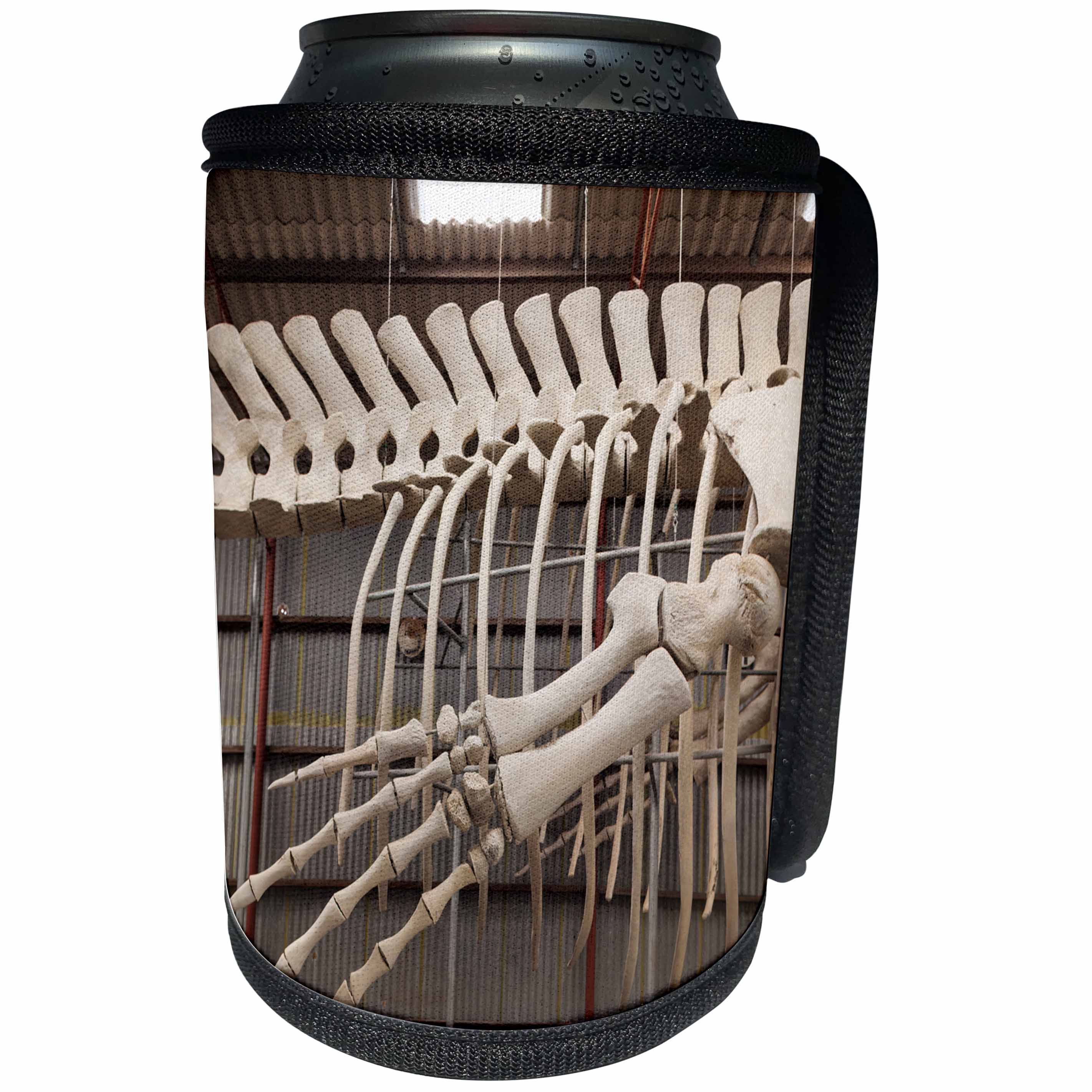 3dRose Danita Delimont - Australia - Australia, former Whaling Station, whale skeleton - Can Cooler Bottle Wrap (cc_226367)