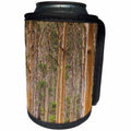 3dRose Danita Delimont - Australia - Australia, Karridale, Boranup Kari Forrest - Can Cooler Bottle Wrap (cc_226376)