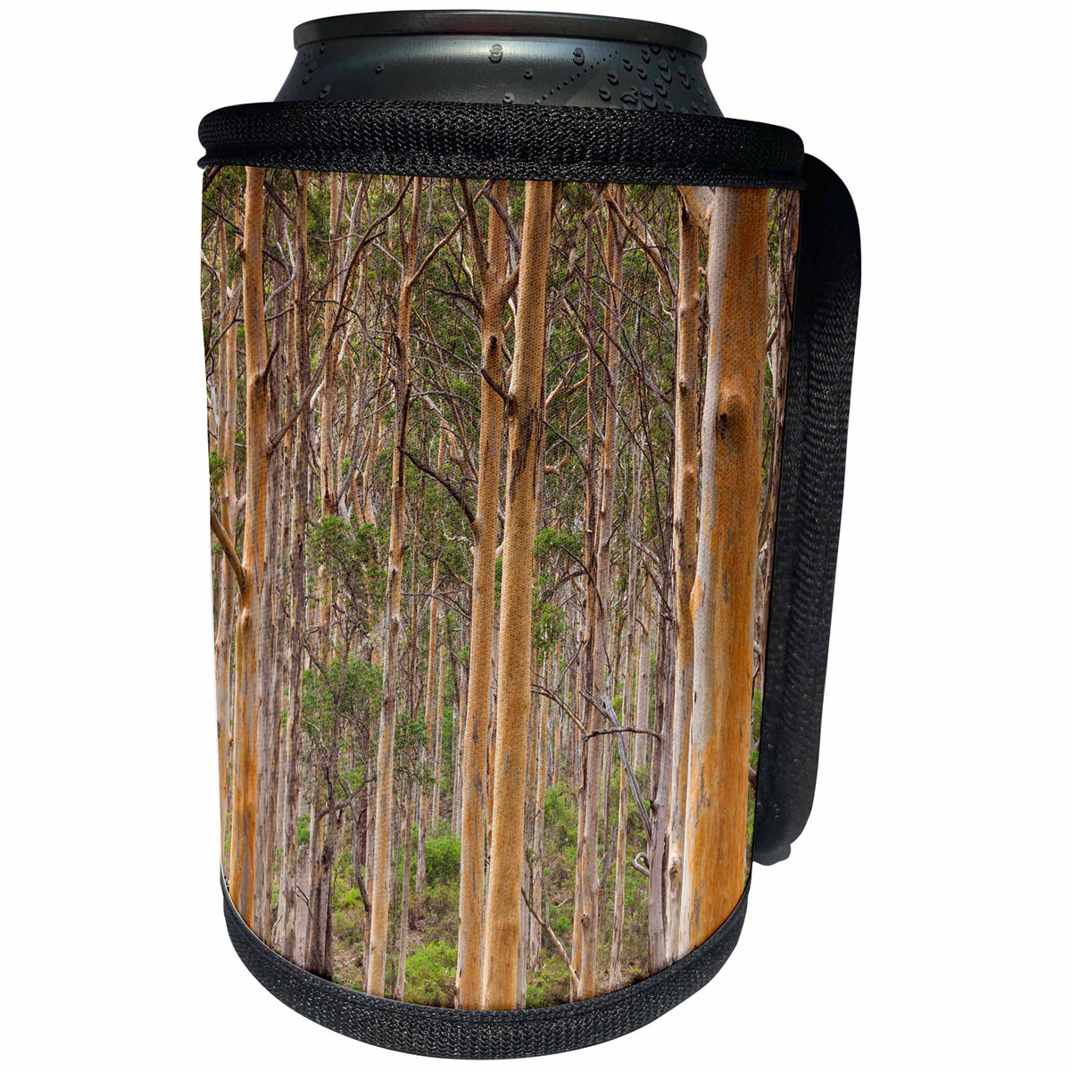 3dRose Danita Delimont - Australia - Australia, Karridale, Boranup Kari Forrest - Can Cooler Bottle Wrap (cc_226376)