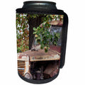 3dRose Danita Delimont - Australia - Australia, old truck - Can Cooler Bottle Wrap (cc_226377)