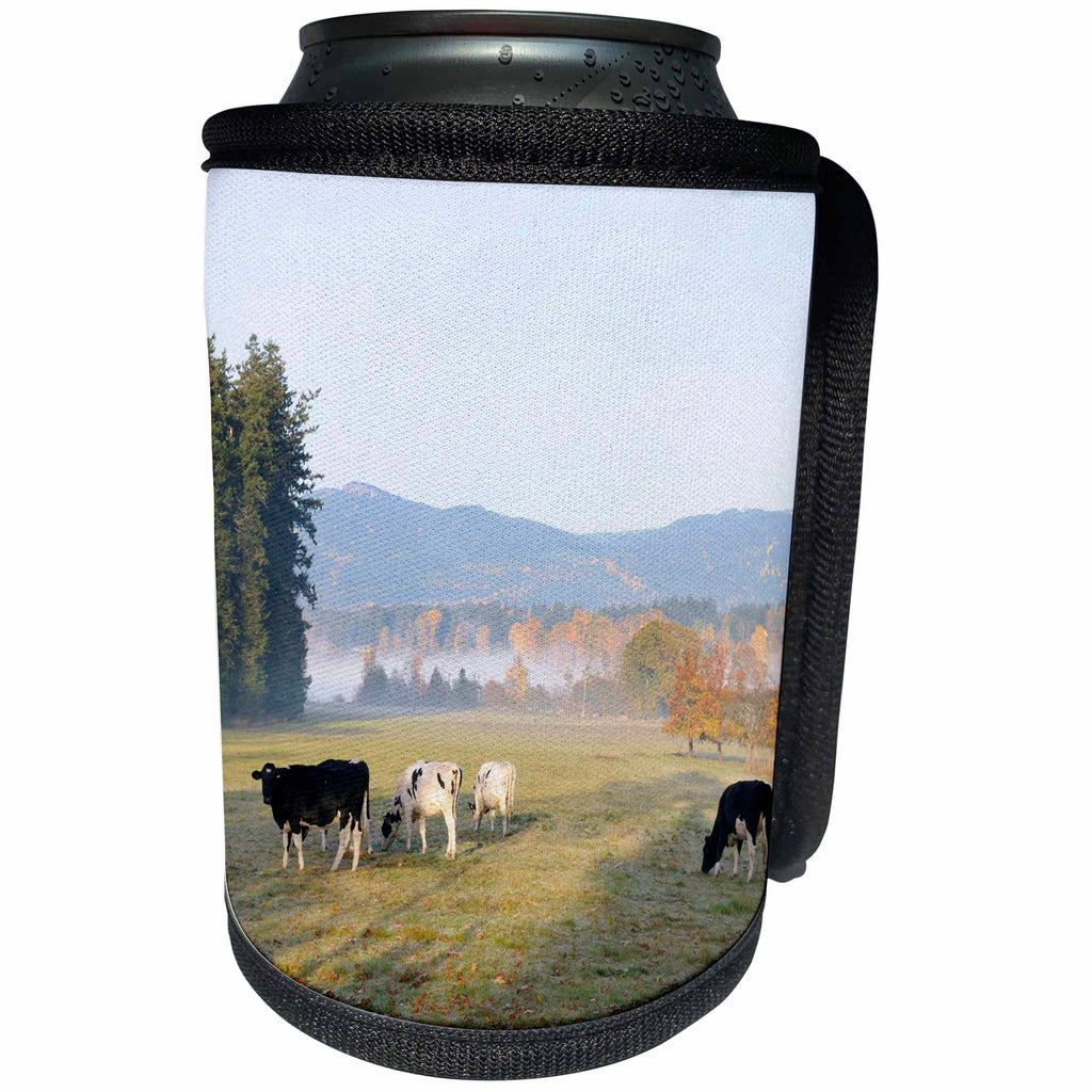 3dRose Danita Delimont - Canada - Canada, Vancouver Island. Cows grazing on grass at a dairy farm - Can Cooler Bottle Wrap (cc_226862)