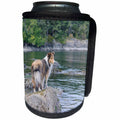 3dRose Danita Delimont - Canada - British Columbia, Portland Island. Sheltie on rocks at Arbutus Point - Can Cooler Bottle Wrap (cc_226866)