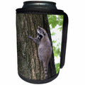 3dRose Danita Delimont - Canada - British Columbia, Portland Island. Small raccoon in a tree - Can Cooler Bottle Wrap (cc_226874)