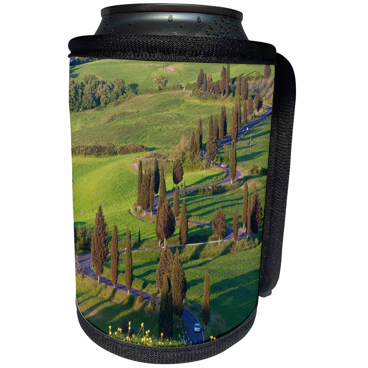3dRose Danita Delimont - Italy - Windy Road, Monticchiello, Tuscany, Italy - Can Cooler Bottle Wrap (cc_227662)