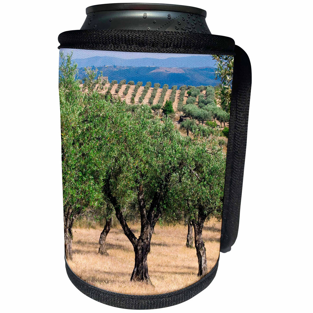 3dRose Danita Delimont - Agriculture - Olive Orchards, Portugal - Can Cooler Bottle Wrap (cc_227860)
