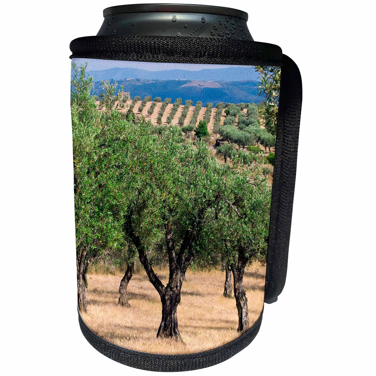 3dRose Danita Delimont - Agriculture - Olive Orchards, Portugal - Can Cooler Bottle Wrap (cc_227860)