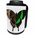 3dRose Danita Delimont - Butterflies - Emerald Swallowtail Butterfly Comparing the top and bottom wing, Can Cooler Bottle Wrap (cc_228351)