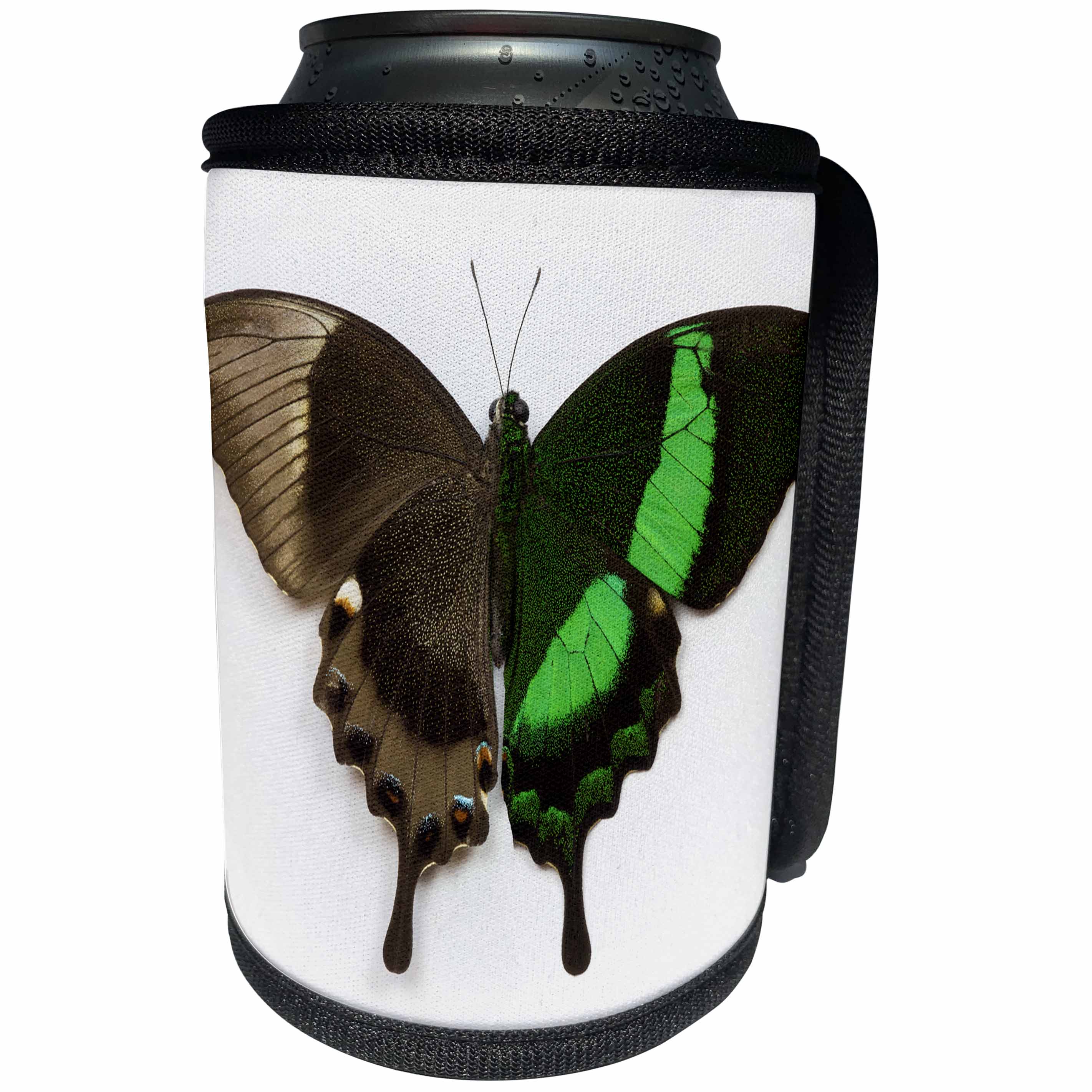 3dRose Danita Delimont - Butterflies - Emerald Swallowtail Butterfly Comparing the top and bottom wing, Can Cooler Bottle Wrap (cc_228351)