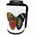 3dRose Danita Delimont - Butterflies - Common Pink Forester Butterfly, comparing the top and bottom wings - Can Cooler Bottle Wrap (cc_228358)