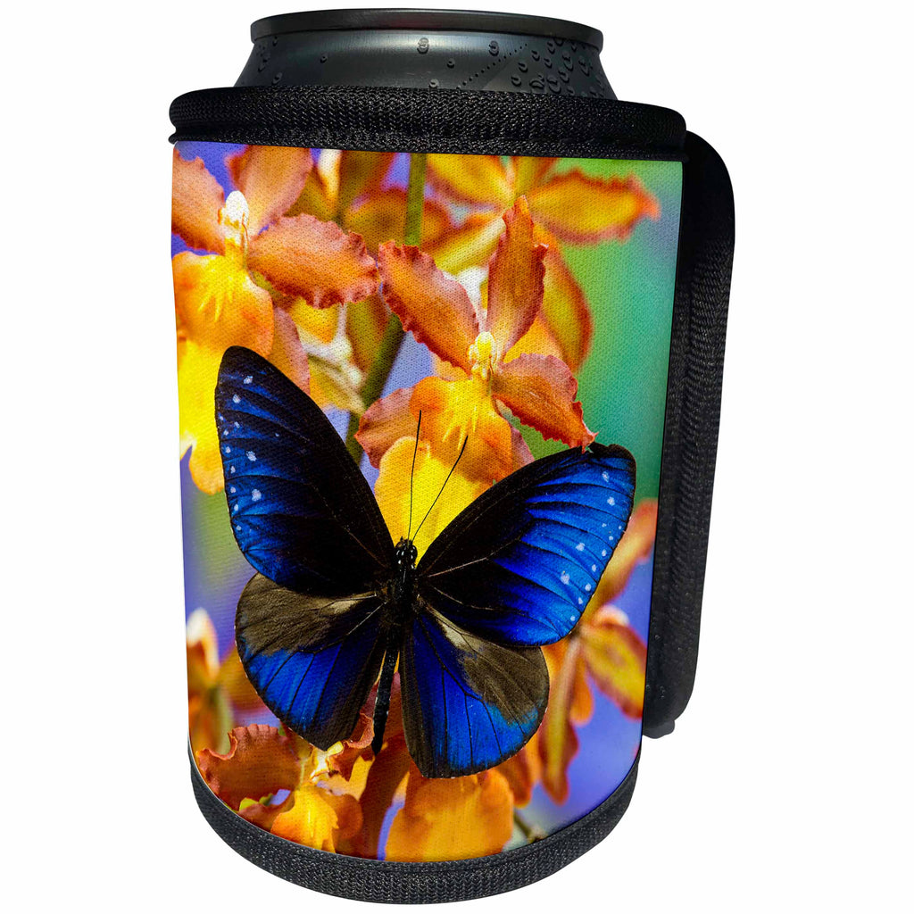 3dRose Danita Delimont - Butterflies - Blue Crow Butterfly and Orchid - Can Cooler Bottle Wrap (cc_228371)