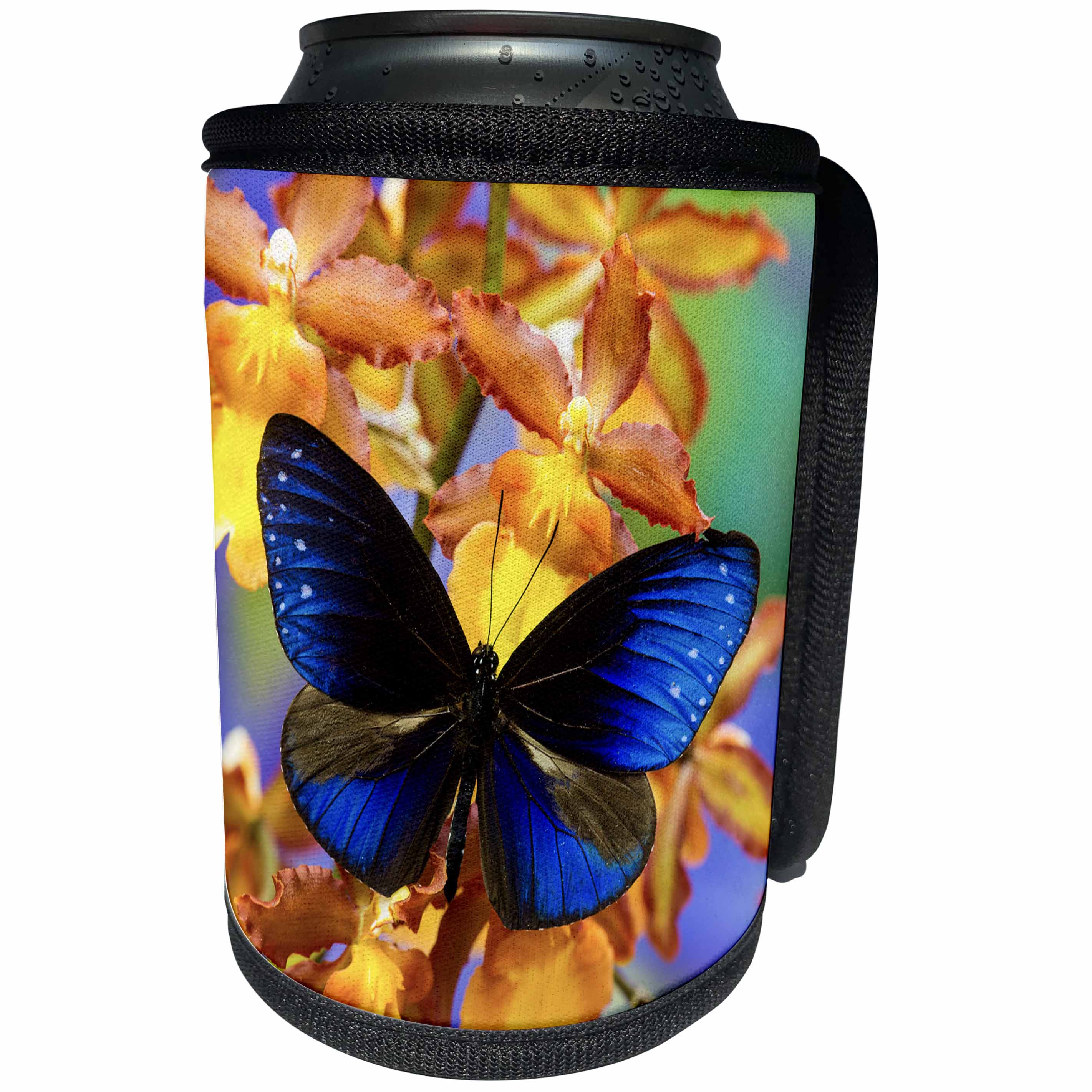 3dRose Danita Delimont - Butterflies - Blue Crow Butterfly and Orchid - Can Cooler Bottle Wrap (cc_228371)