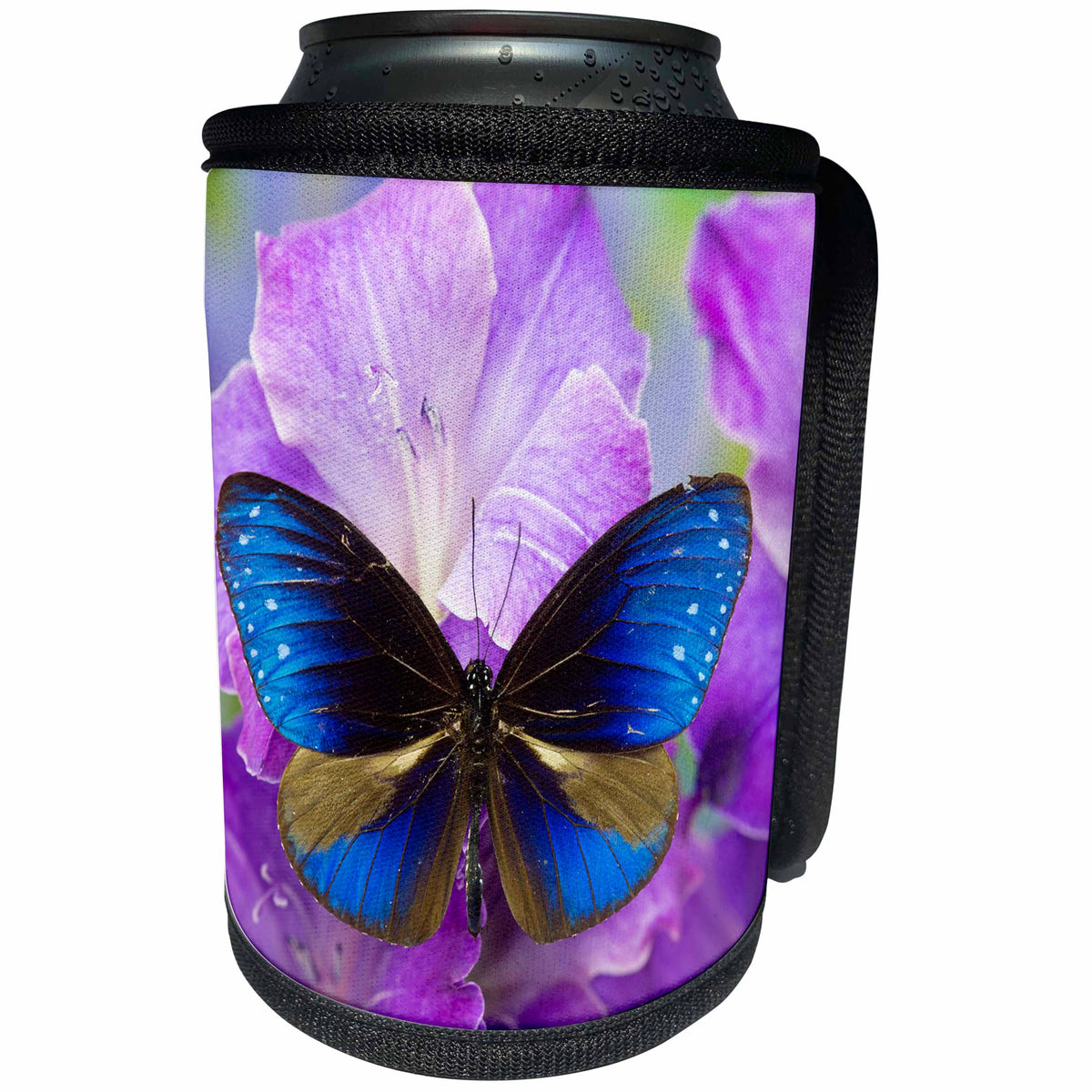 3dRose Danita Delimont - Butterflies - Blue Crow Butterfly on purple flowers - Can Cooler Bottle Wrap (cc_228372)