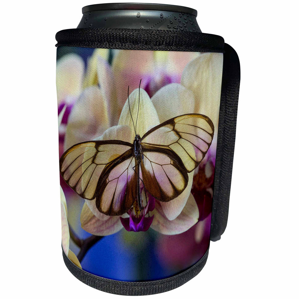 3dRose Danita Delimont - Butterflies - Glasswing Butterfly and Orchid - Can Cooler Bottle Wrap (cc_228383)